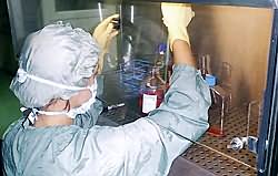 古巴分子免疫学中心进行的研究