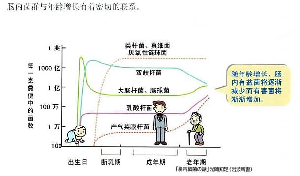 肠道菌群与年龄的关系