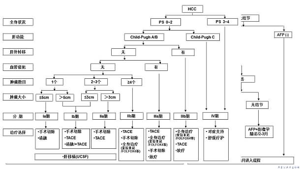 肝癌临床分期及治疗路线图