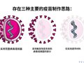 不同类型的COVID-19疫苗