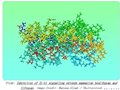 Nature-衰老研究的突破:阻断IL-11可延长小鼠寿命并改善健康
